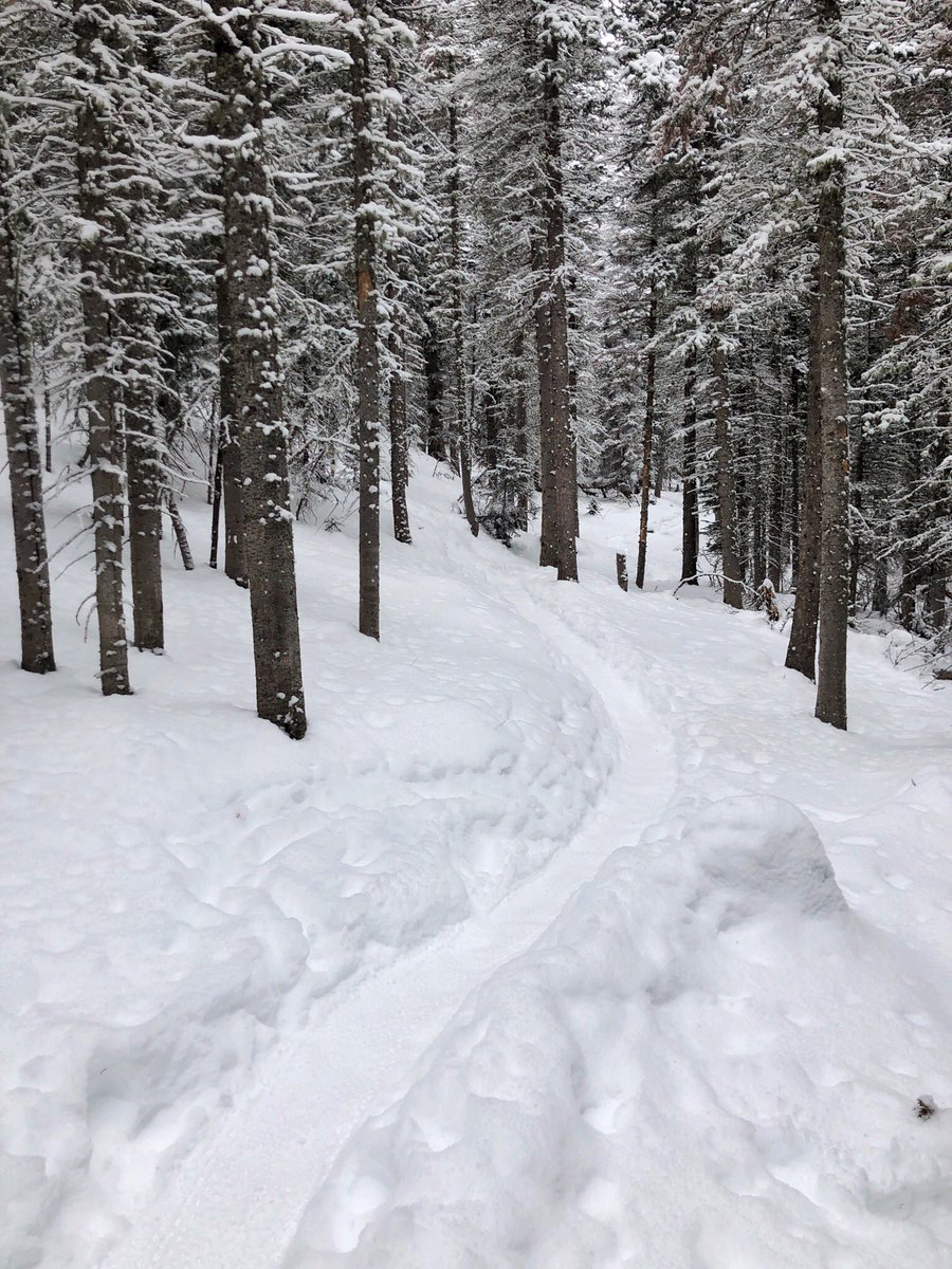 “<a href="/RickHackett/">Richard M. Hackett 🚲</a>: Welcome back fatbike season! ❄️❄️❄️❄️❄️❄️❄️❄️❄️❄️❄️ #BrainardLake #WaldropTrail #Colorado”