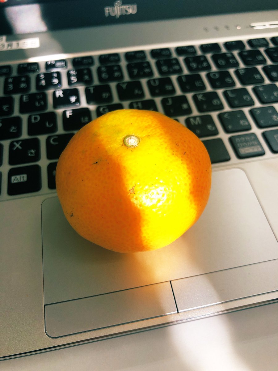 酸っぱいみかん