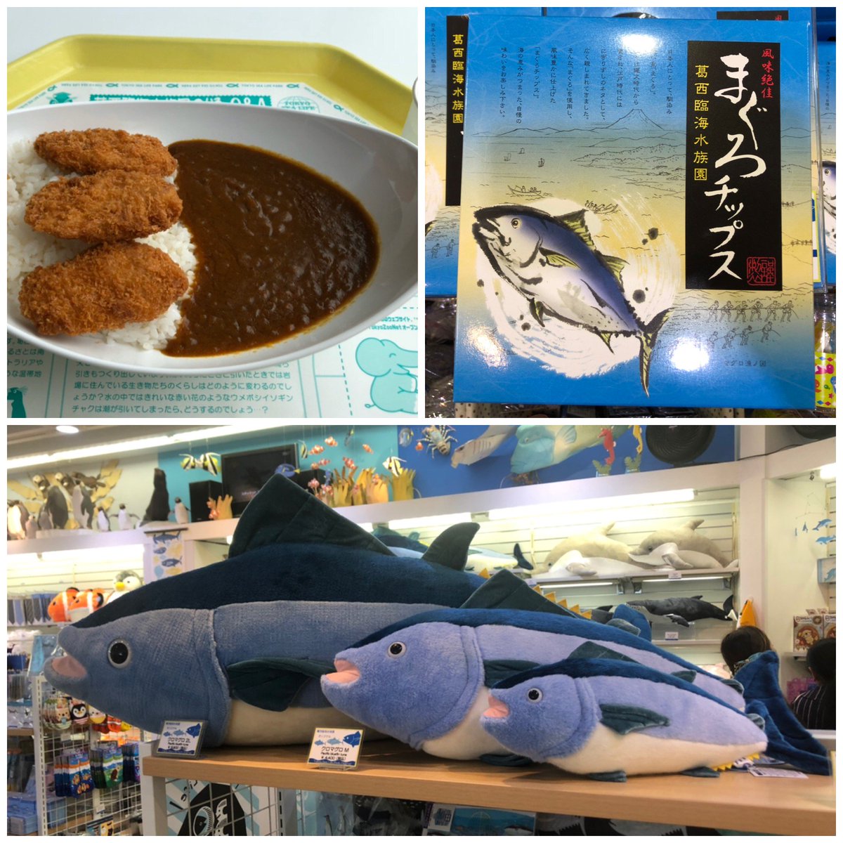 葛西臨海水族園 公式 質問箱 回答編 オススメ紹介 ランチはマグロカツカレー 圧倒的一番人気 おやつはマグロチップス 子供から大人までおいしく食べられます おみやげはマグロのぬいぐるみ 色々なサイズ揃えてます マグロづくし º º