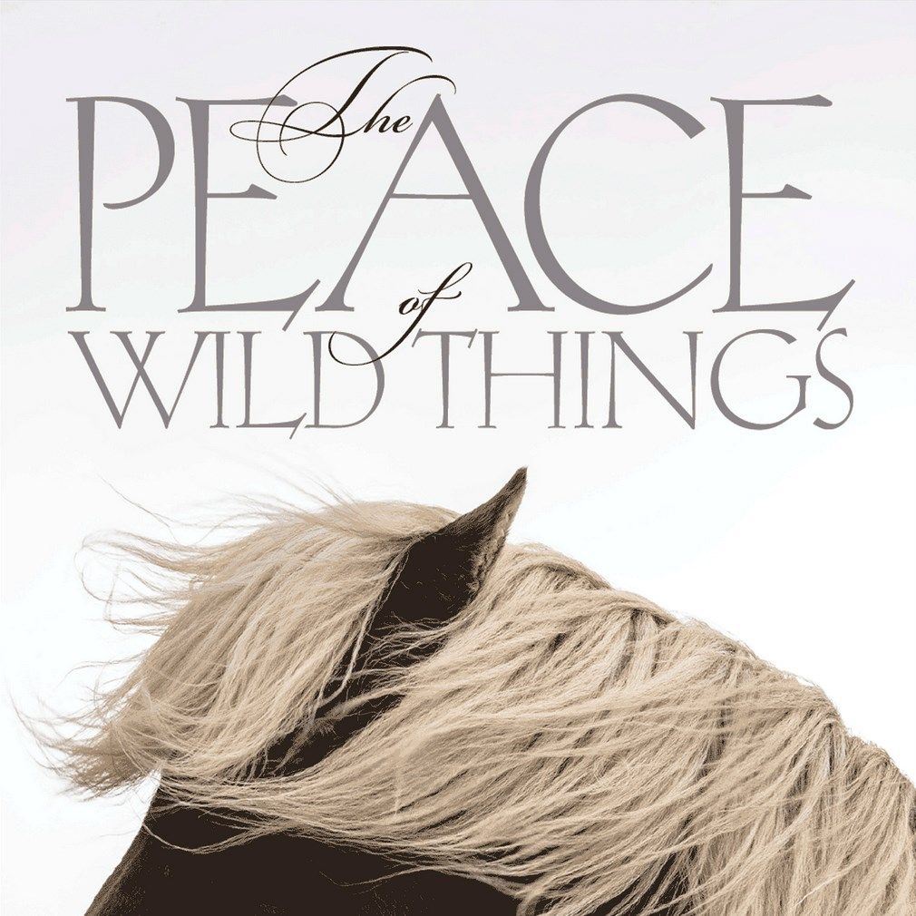 This concert from <a href="/SpiritusChoir/">SpiritusChamberChoir</a> is about the unexpected ways we find peace in a wild world. You won't want to miss it!

November 3, 2019 | Learn more at cada.at/2MLAbTO. #yycarts #yycmusic