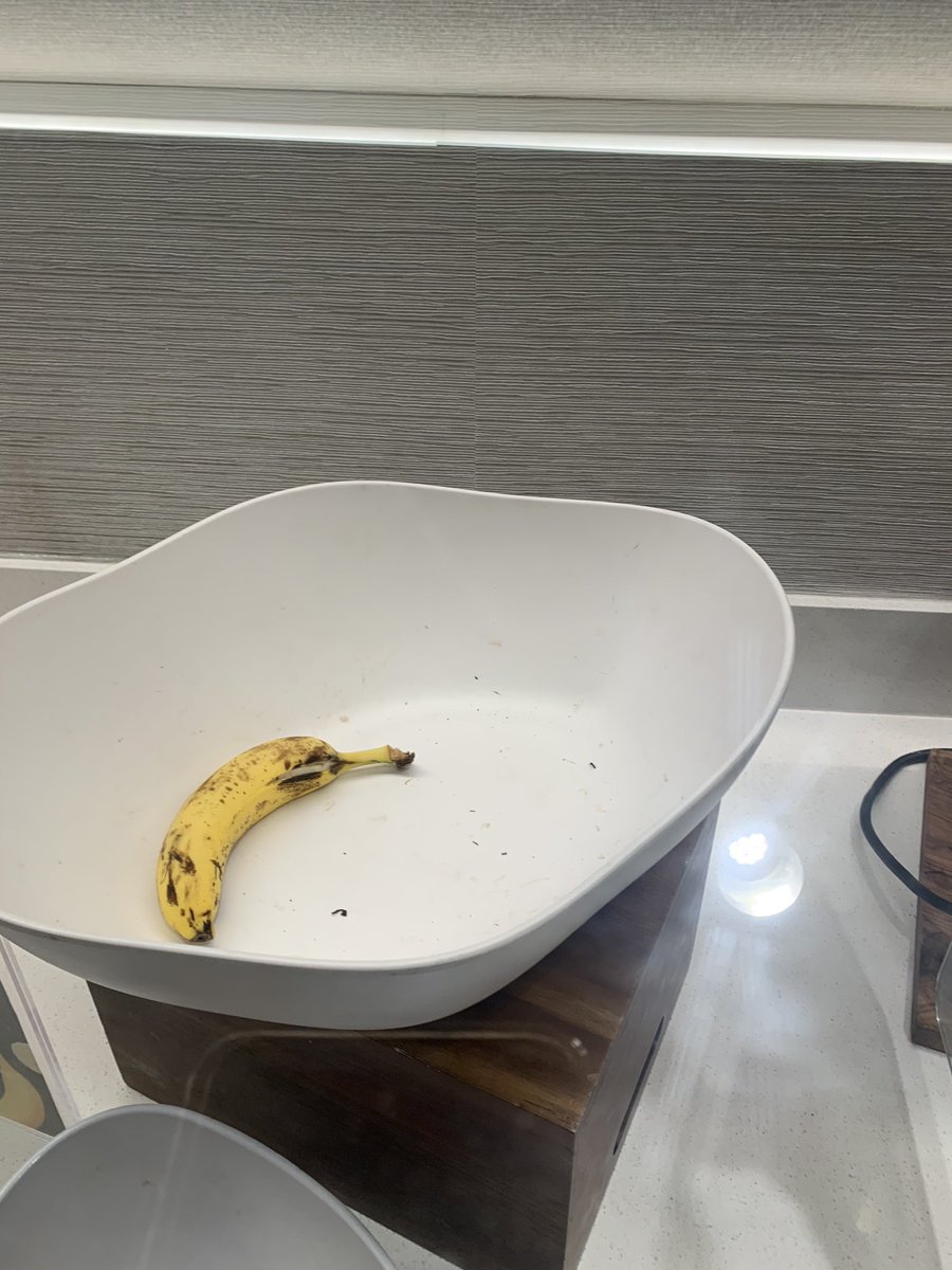 Really gross <a href="/Delta/">Delta</a>