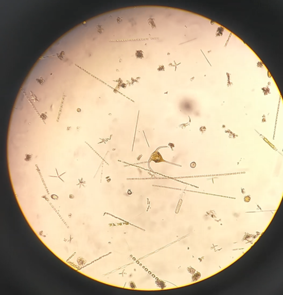 Andrew McCue tweet media