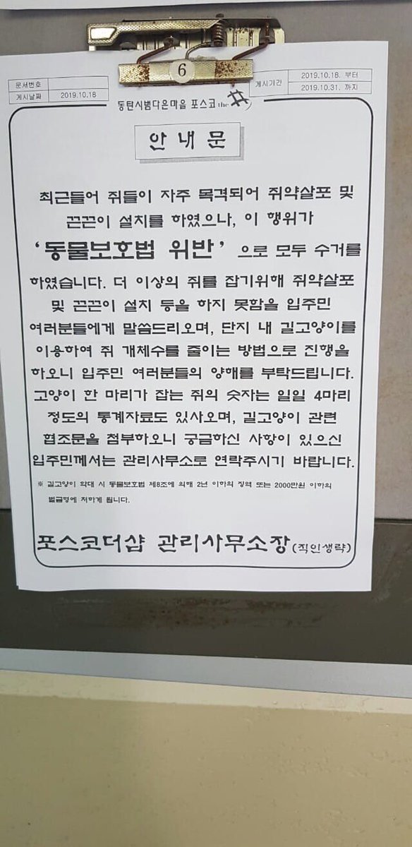 🕯️천수관음형 유카 🕯️ tweet media