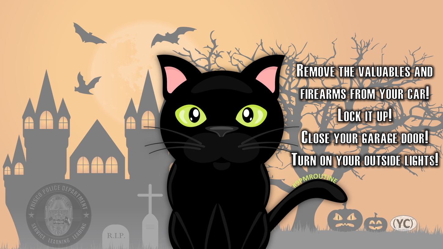 Frisco Police On Twitter No Need To Worry About This Black Cat