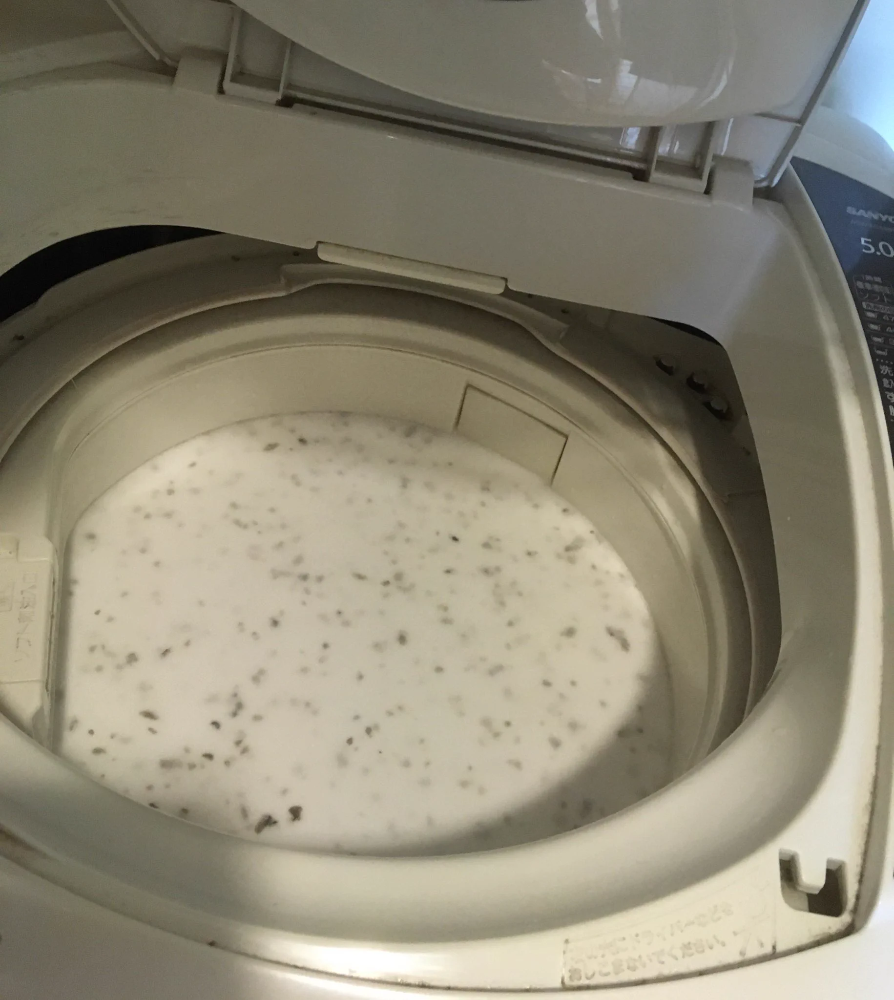 ドサッと落ちる！！紀陽除虫菊株式会社の洗濯槽クリーナーが有能すぎるから使ってみて！