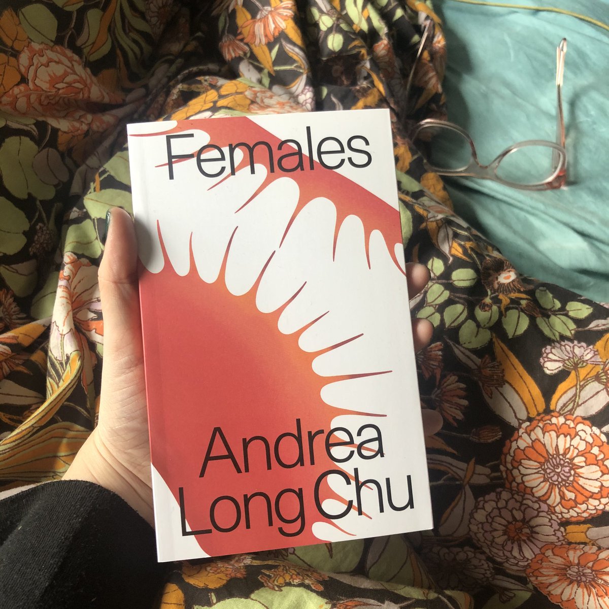 51.  Females: A Concern - Andrea Long Chu