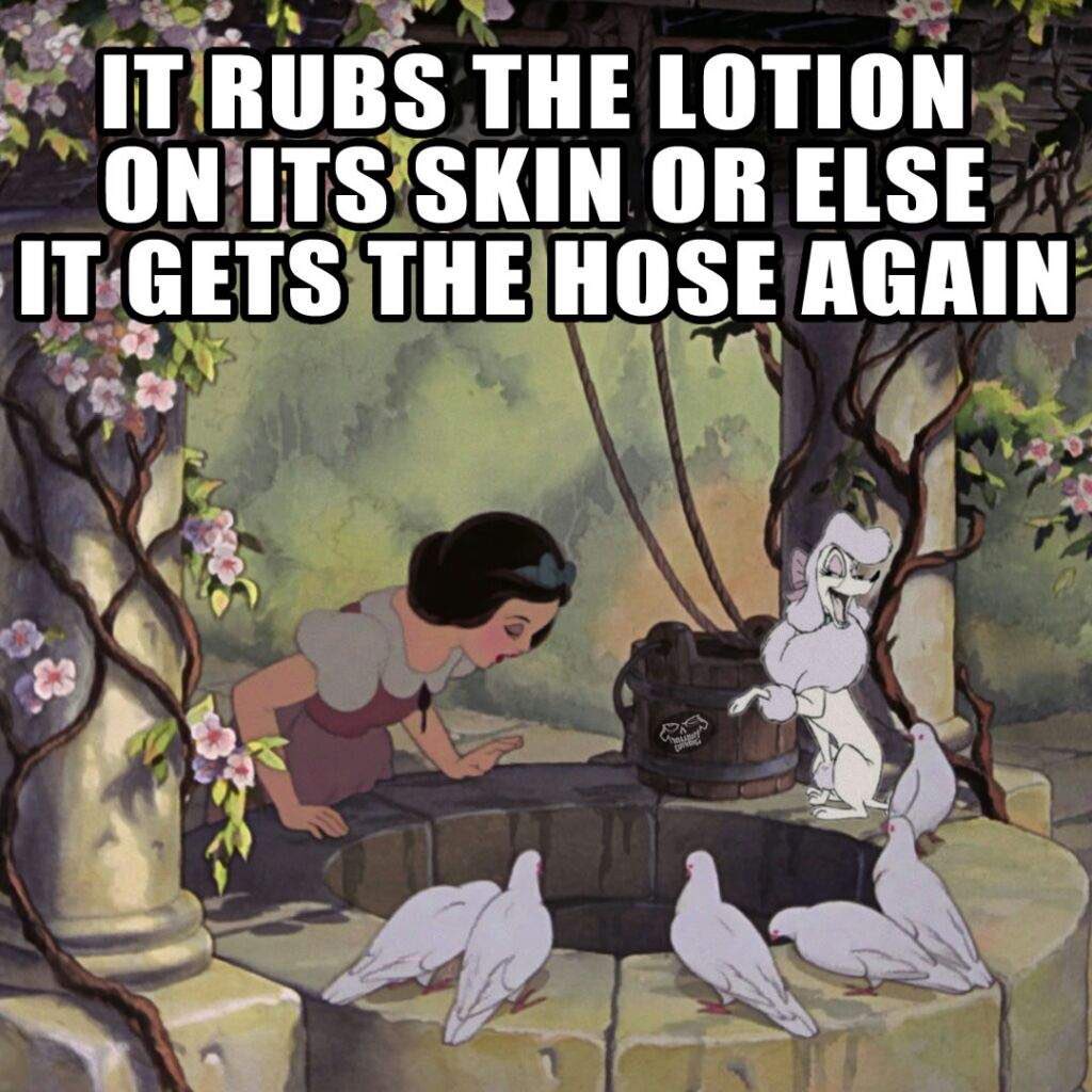 Snow White of the Lambs
