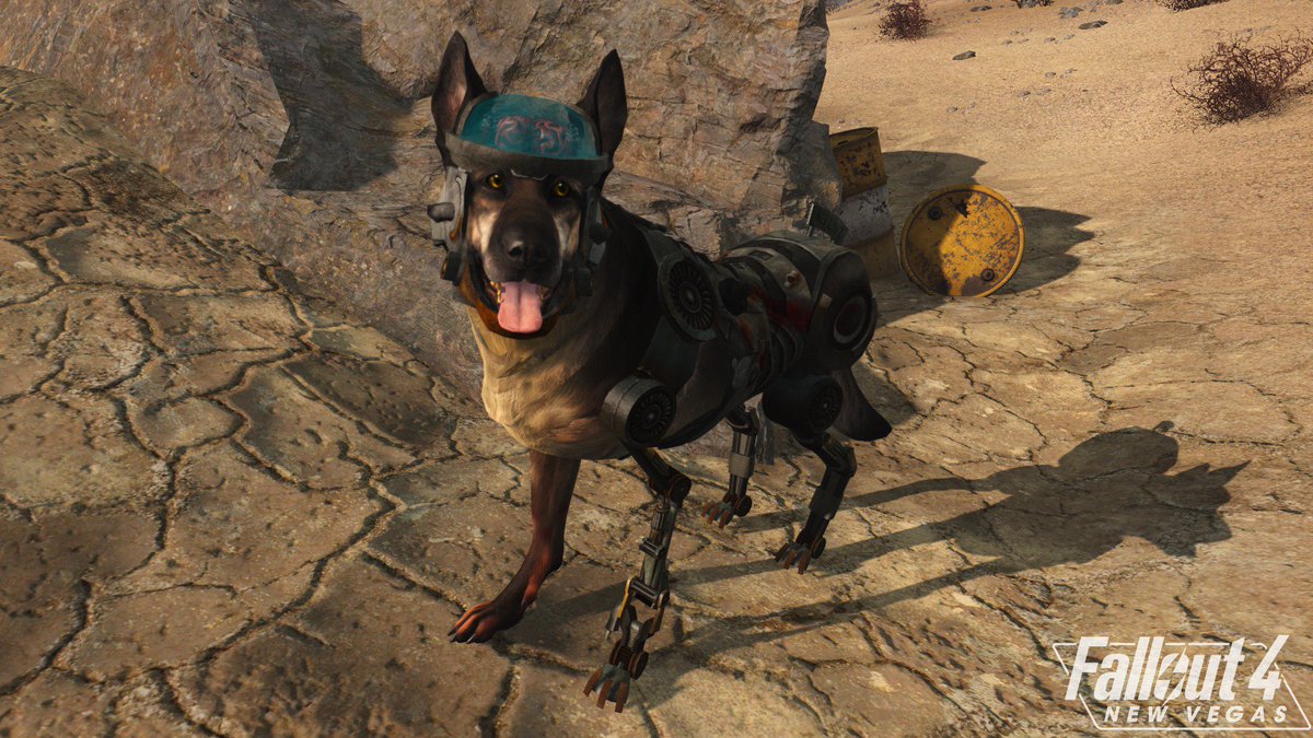 fallout new vegas dogmeat mod fallout new vegas dogmeat mod