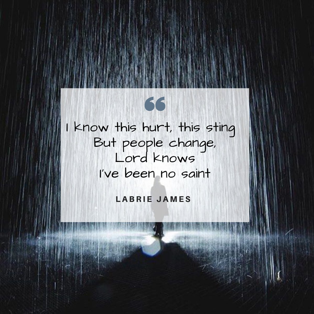 Z Publishing Montana tweet media