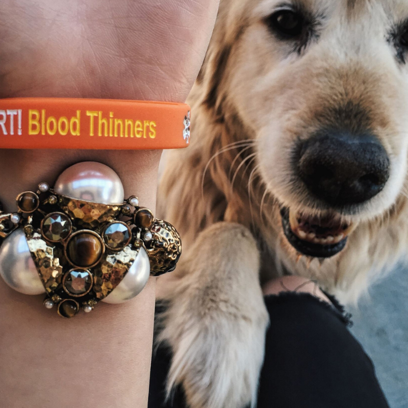 mediband's tweet photo. Live your best life with Mediband!
.
.
.
#life #fitness #student #healthy #follow #medic #motivation #skincare #health #instagram #pharmacy #wellness #dr #nursingschool #instagood #life #diet #healthyliving #strong #vegan #gymlife #healthcare #mediband #wristband https://t.co/2CTQLIiI3c