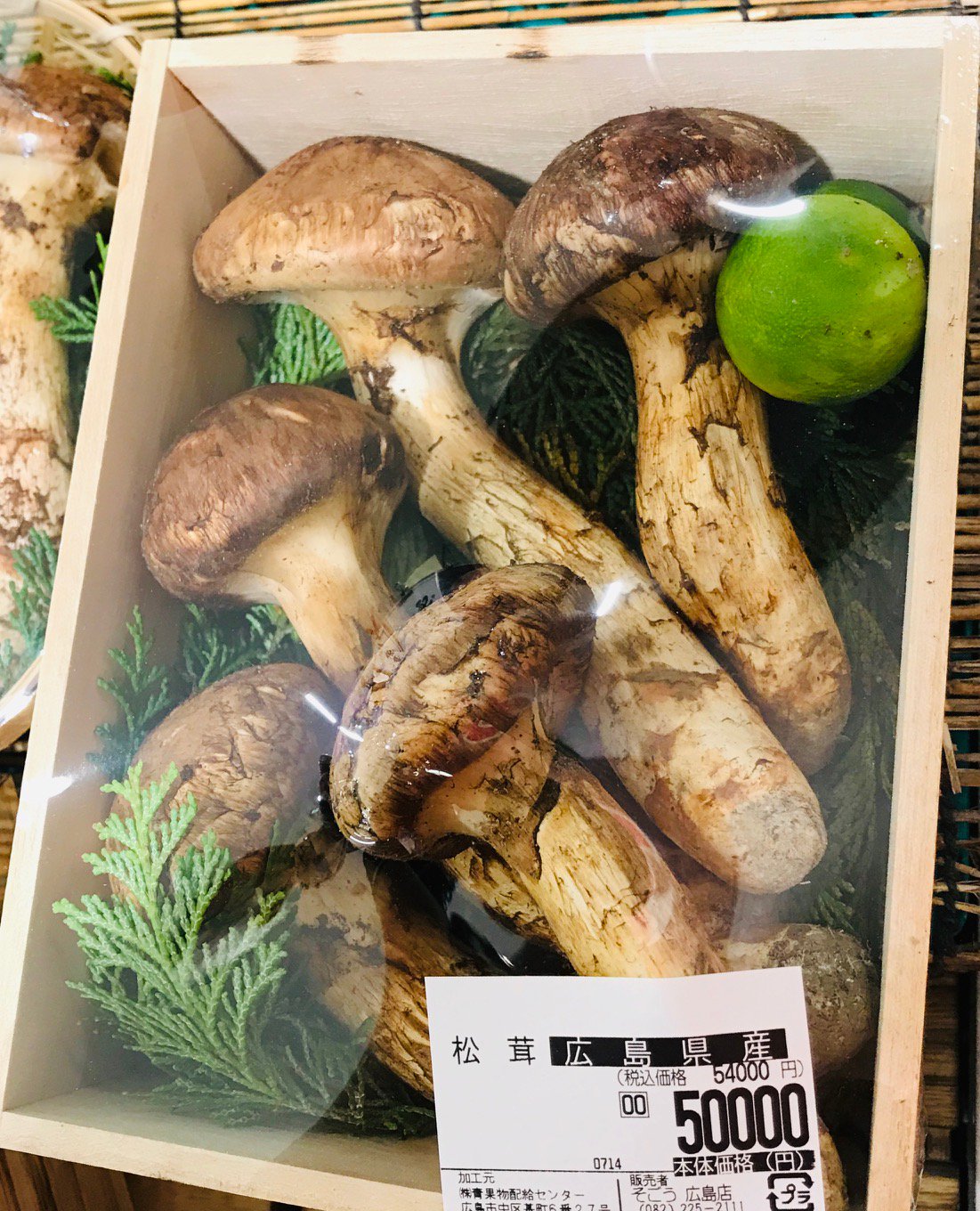 広島県産松茸 349g 虫食いあり 広島県産 松茸