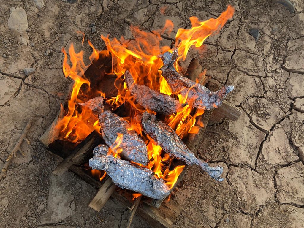 Cooking our freshly prepared fish on the open fire. Survival skills at its finest. #onlyatBSAK <a href="/BSAKAbuDhabi/">BSAK Abu Dhabi</a>