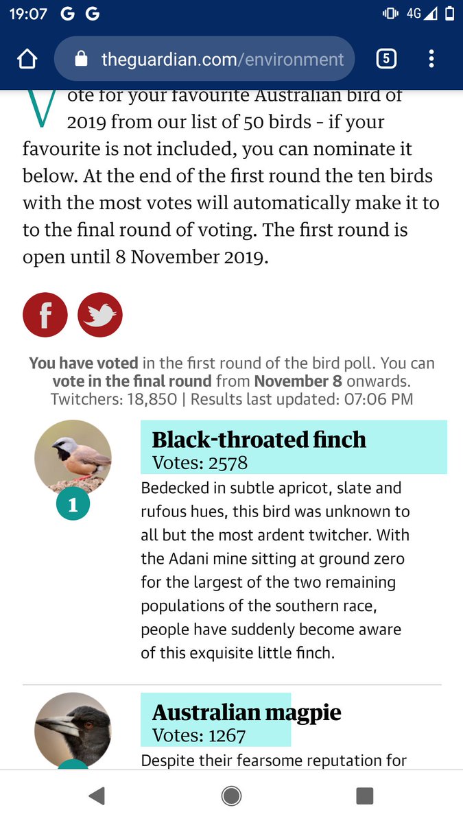 cobicalyx's tweet photo. voting black-throated finch for 2019 #BirdOfTheYear as #stopAdani advocacy/protest has put it in the lead! #envpol https://t.co/tIark9ql1w https://t.co/5uDYhaArqZ