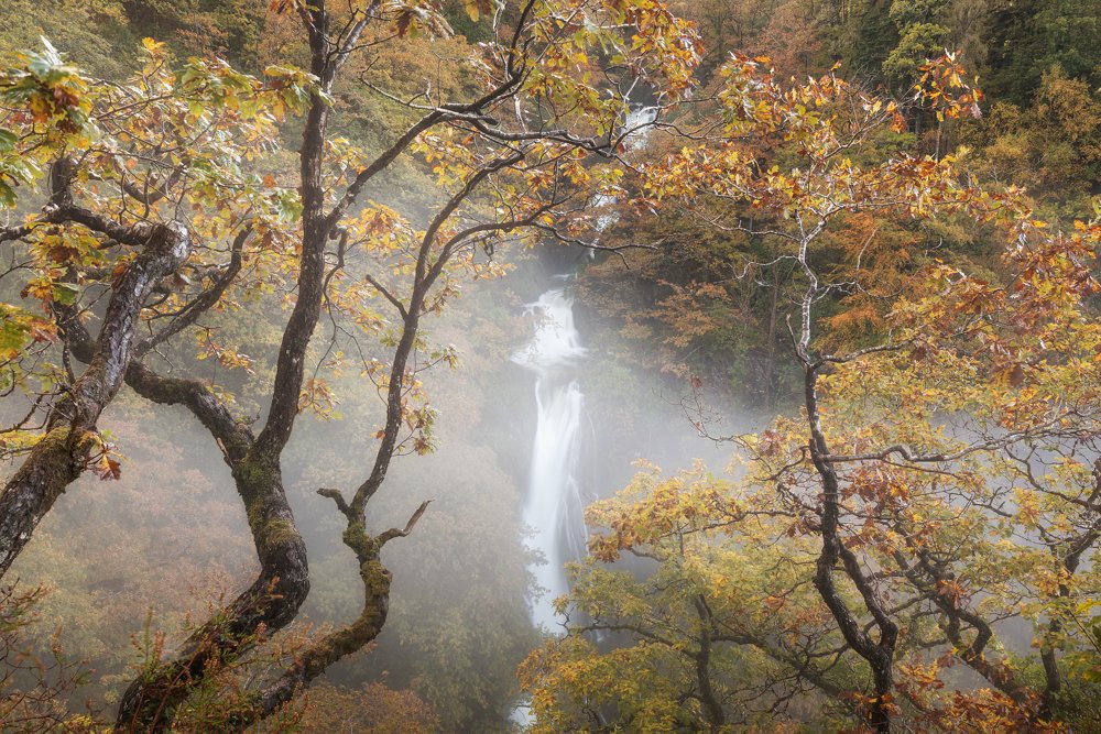 JanetBaxter1's tweet image. Early morning mist, Mynach Falls #Pontarfynach #DevilsBridge #CambrianMountains @WaterfallsWales @VisitCambMtns @visitceredigion @visitwales @VisitMidWales