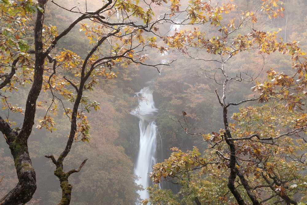 JanetBaxter1's tweet image. Early morning mist, Mynach Falls #Pontarfynach #DevilsBridge #CambrianMountains @WaterfallsWales @VisitCambMtns @visitceredigion @visitwales @VisitMidWales