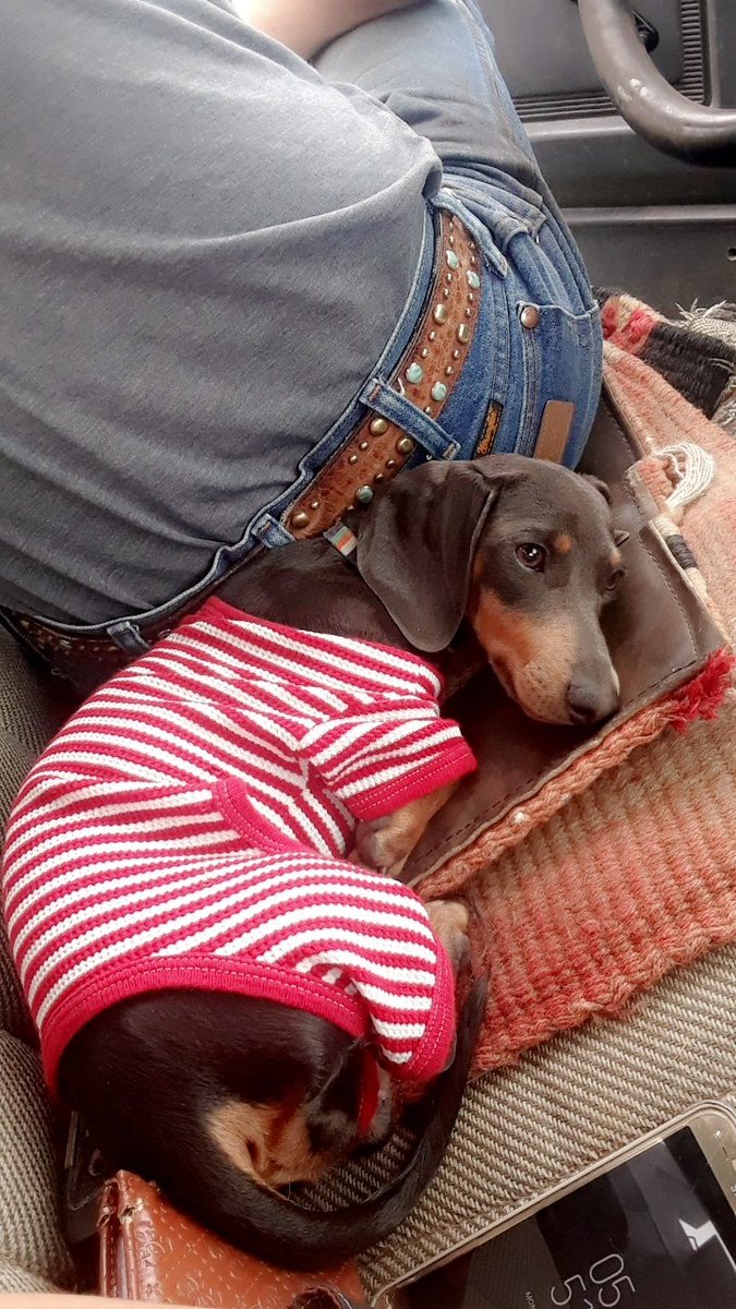 LishyyA's tweet photo. Hates her onesie https://t.co/GymCzhbHBh