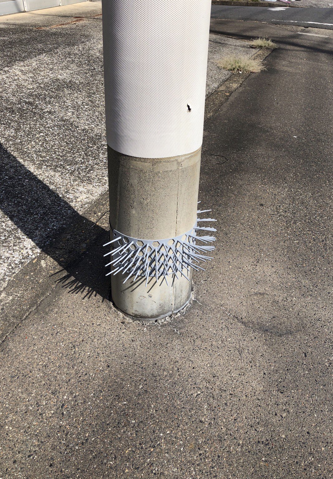 しずく すごい攻撃的な電柱見つけた 電柱 たぶん犬よけ T Co Gnsfmsjsfn Twitter