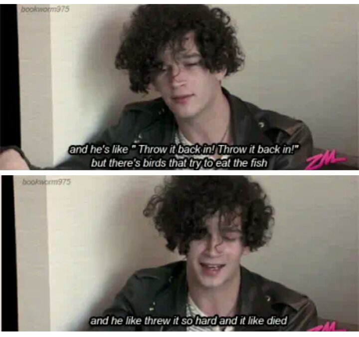 Iossmyhead's tweet image. bless george