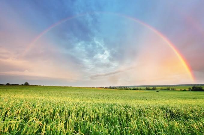 whippedIsMe's tweet photo. there's a rainbow always after the rain

JoRitz OnTheWay
JoRitz OnTheWay
JoRitz OnTheWay https://t.co/p6ZwMosPCz