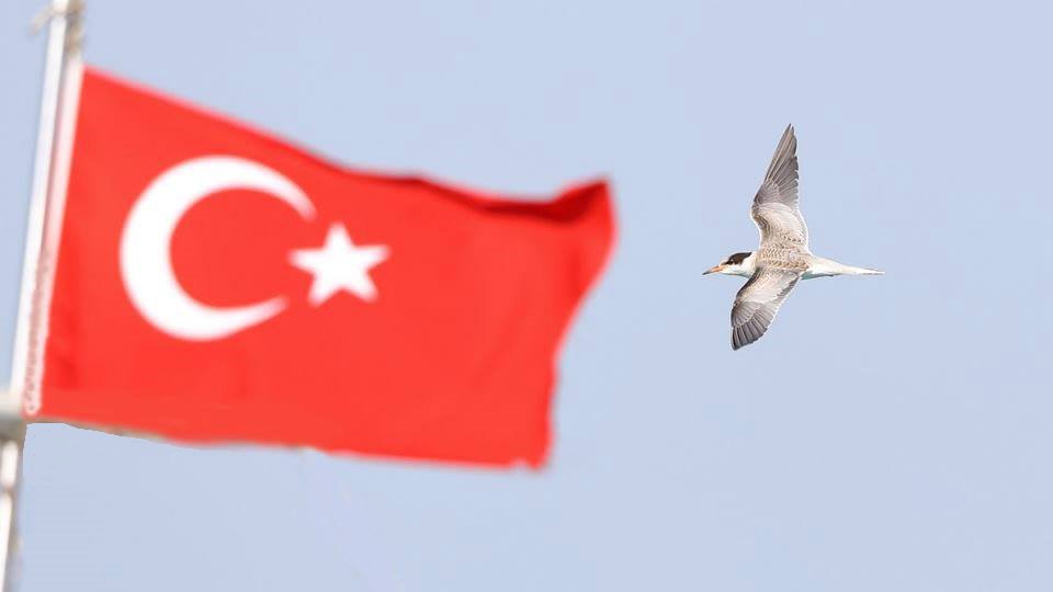 Fikri hür, vicdanı hür, irfanı hür nesillerimizin CUMHURİYET Bayramını kutluyorum. İki mavi gözün izinde aydınlık ve güzel günlere ulaşmak dileğiyle.