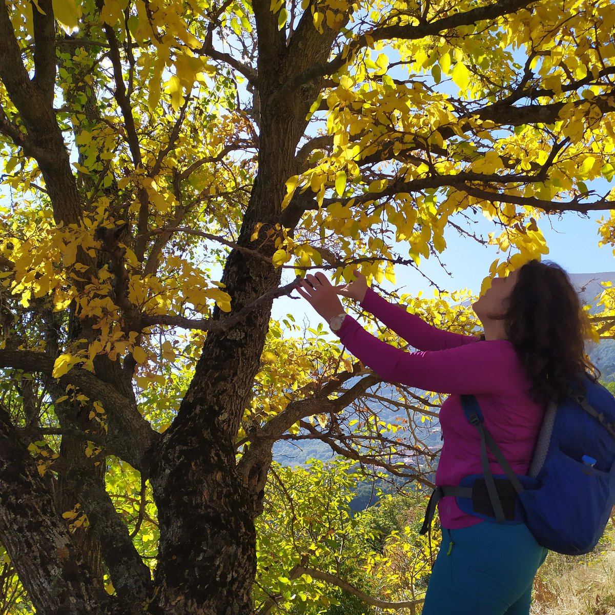 #traceyoureco #Exploregreece #naturelovers #TravelBlogTips #travelpotograpy #VisitGreece #verymacedonia #nymfaio #florina #Greece #hikinday #trekking #ForestWomen