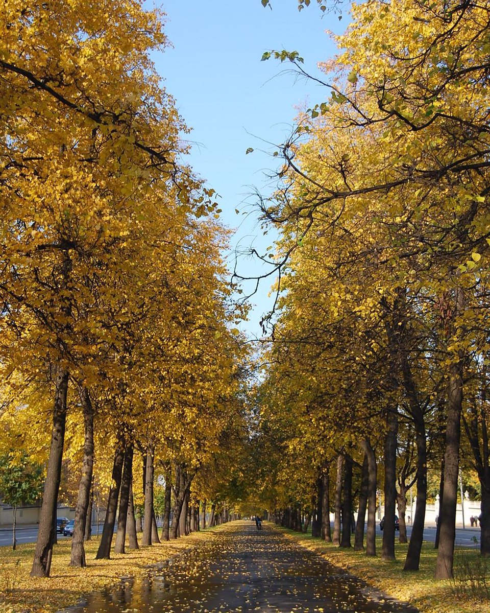 instagram.com/p/B4JtKJpIIQN/

Доброе утро, друзья!Всем желаю продуктивной рабочей недели☀️