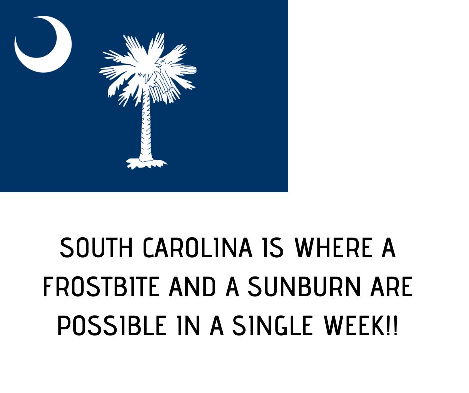 PHSRealEstateSC tweet picture