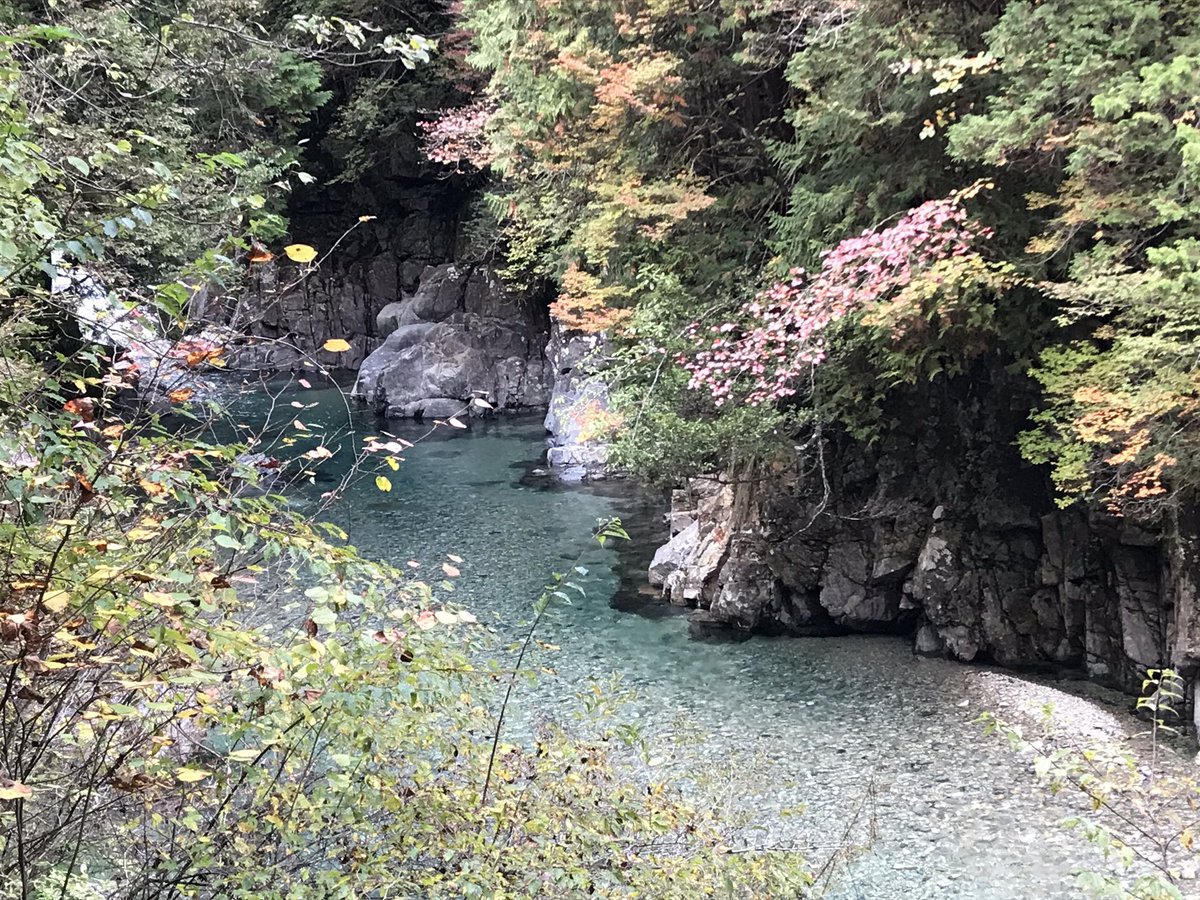 imanam0825's tweet photo. 本日の最後は阿寺渓谷。
国道19号から少し外れただけでこんなにステキな景色が!

マイナスイオンをたくさん浴びた1日でした。

#阿寺渓谷 https://t.co/X1yE1iQZ4N