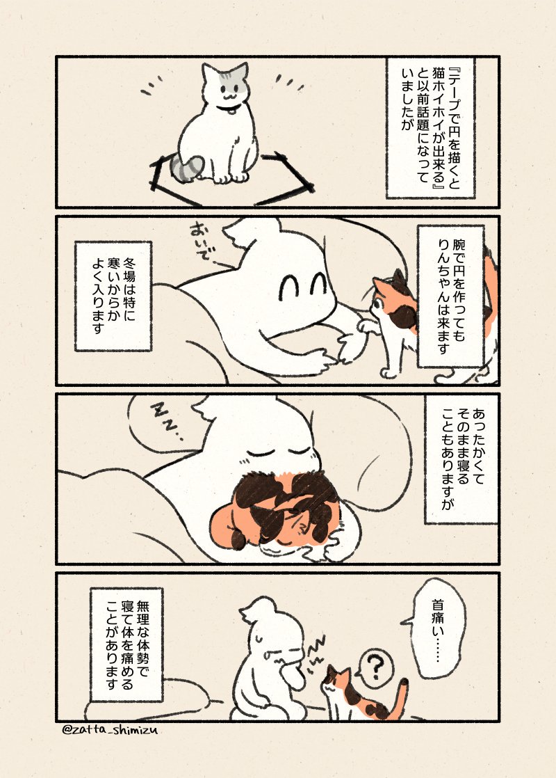 猫ホイホイ(腕)
寒くなってきましたね?

#私めりぃさん今ネコといるの #実録漫画 