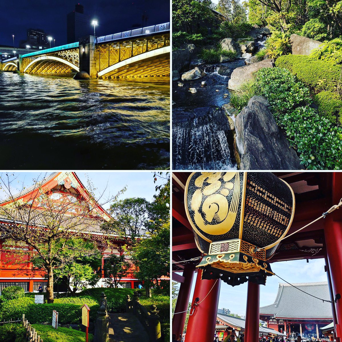 ScienTwins's tweet image. 2nd week in Japan (this time vacation). Enjoying Tokyo. #scienceandtravel #scienceandfun #vacation #Japan