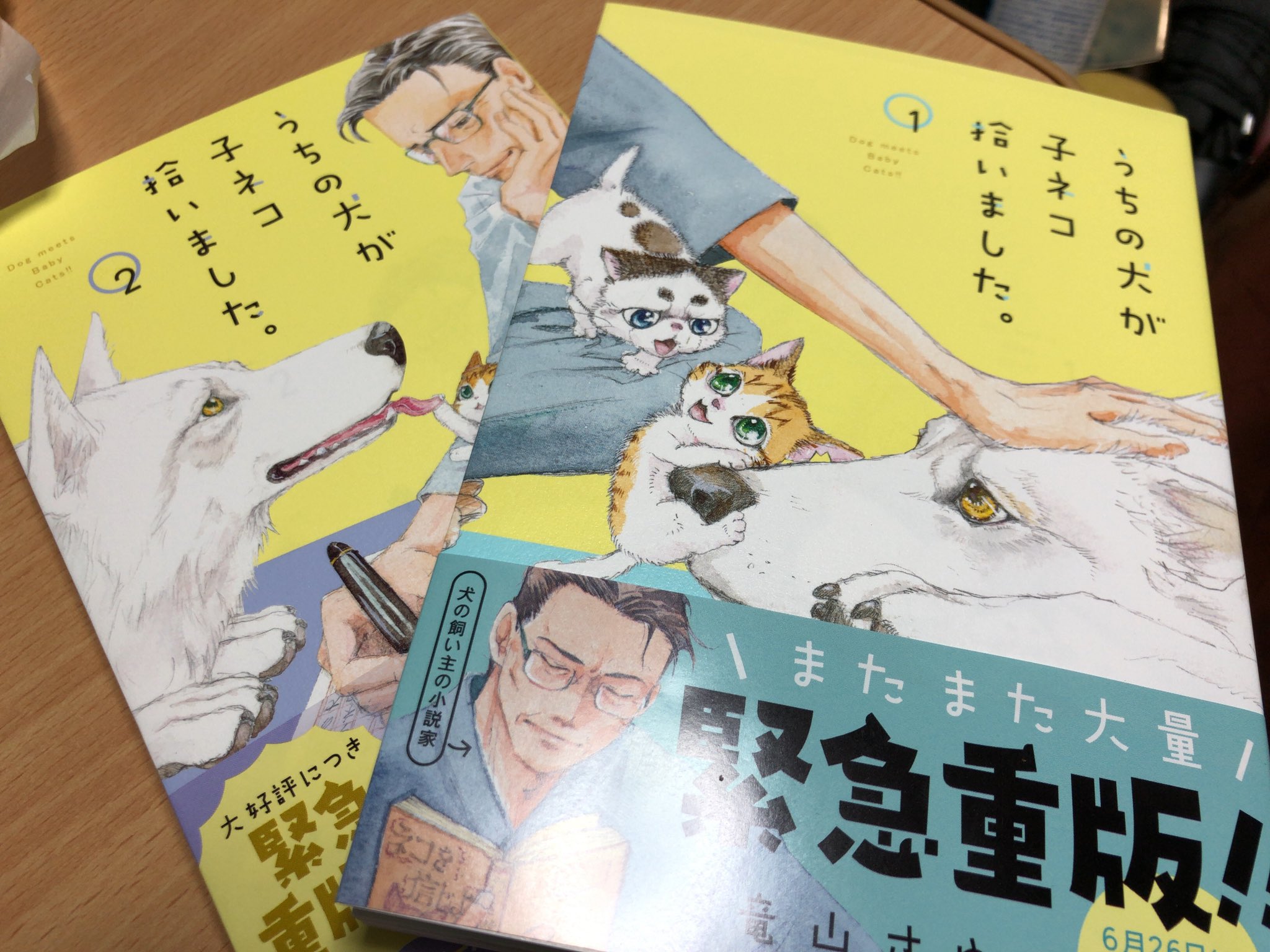 うちの犬が子ネコ拾いました 1巻 2巻セット 小学館 竜山さゆり うちの犬が子ネコ拾いました Maksismt Lv