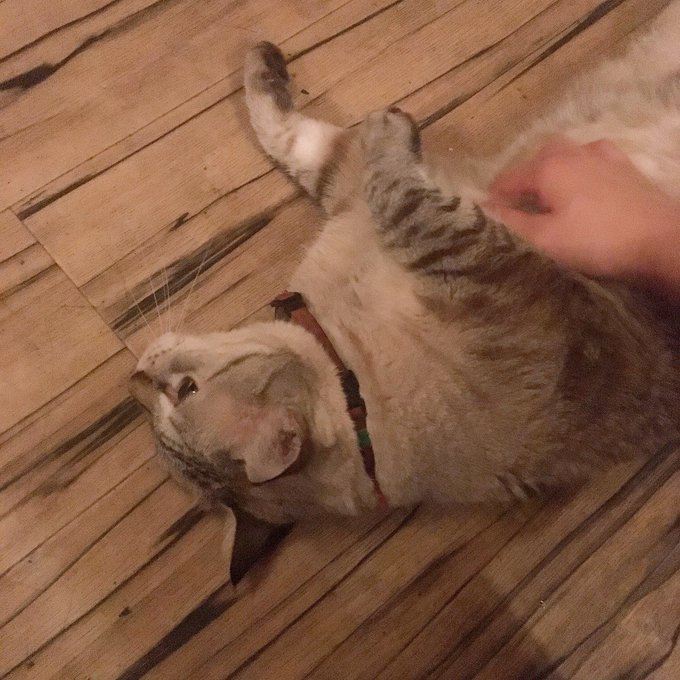 Twitterのコスプレ画像23