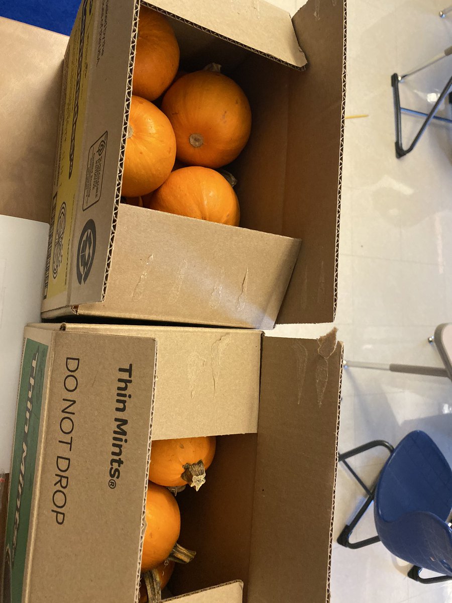 A last years parent donated pumpkins to our class so that every child may make a book pumpkin. Thanks friend. 😘