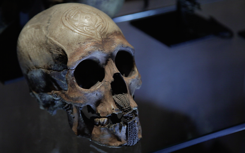sharingwonder's tweet photo. What's this skull got to do with a card trick? Find out and see a concert of sleight-of-hand—Bach’s Goldberg Variations meets Rachmaninoff’s Piano Concerto No. 3—conceived as a macabre fantasy, performed by @theconjuror #TheDevilsPlaythings WATCH: https://t.co/JG6TWSi5my https://t.co/8ODEF1pHRB