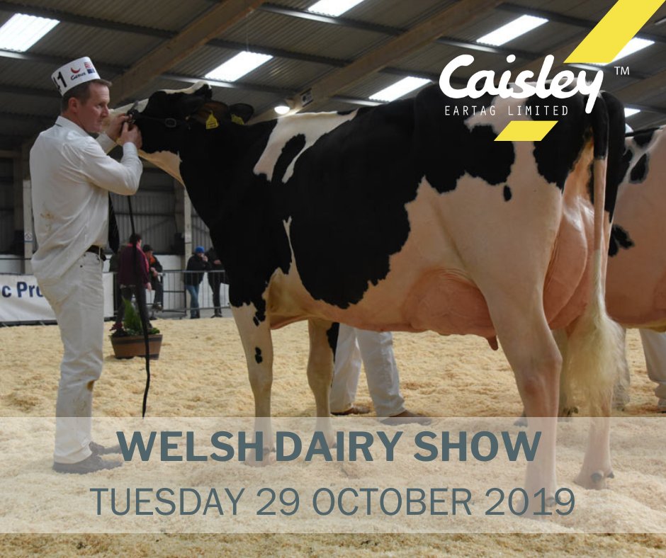CaisleyTags's tweet photo. Don't forget we will be at the @Welsh Dairy Show tomorrow! Come &amp; find our what is different about Caisley technology 🐄🏴󠁧󠁢󠁷󠁬󠁳󠁿🥛
https://t.co/uycBBMpJfT
#teamdairy #caisleytags #welshdairyshow #TagOnceWithCaisley https://t.co/FMaWrXFCZD