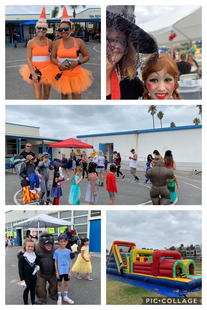 Hollywood Bch School tweet media