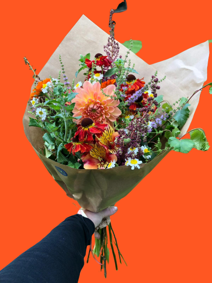 Each bouquet has been hand-selected with organic flowers from <a href="/bumblebeeFarm_/">MagsRiordan 'Biology Works'</a>  each week. Providing you with a stunning bouquet of seasonal Irish Flowers. Colours and variety will vary each week. 
dublinflowershop.ie/flowers/Bumble…
#irishflowers #organicflowers #dublin