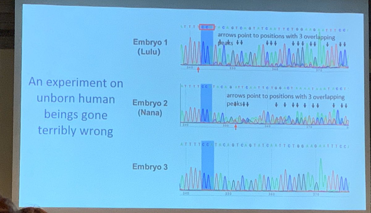 Slide showing sequencing results for the CRISPR babies