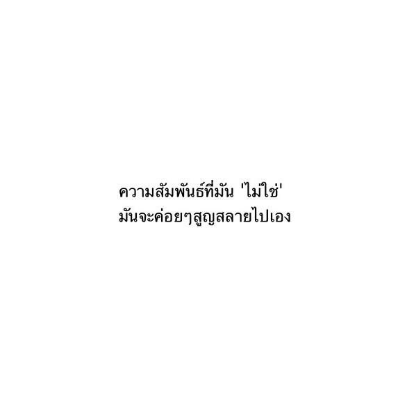 ปิดบอทจ้า :ฟอลลิมิตเดี๋ยวมาฟอล tweet media