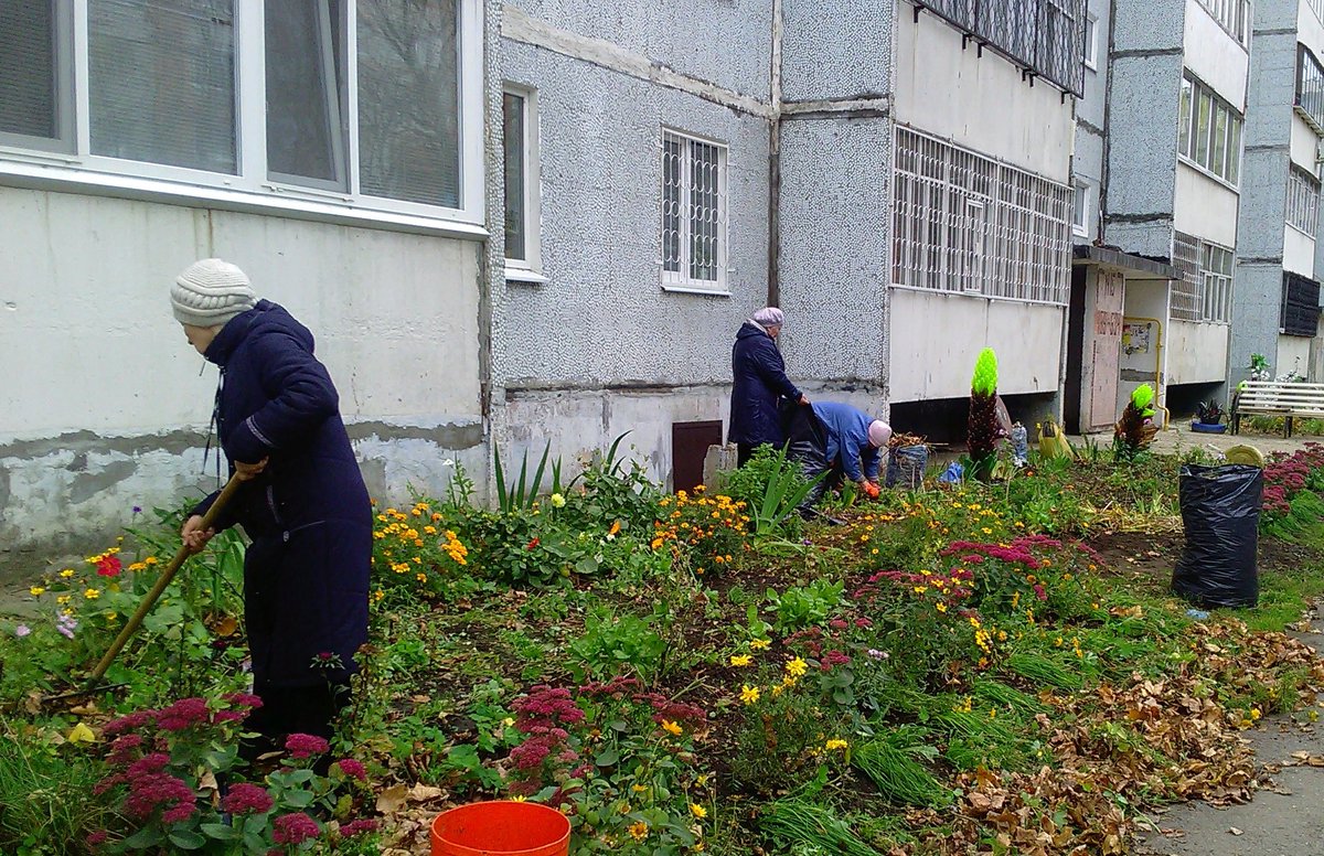 В последние теплые октябрьские деньки депутат Ульяновской городской Думы Денис Хлыстун помог в проведении субботника ТОС "Маяк". Все вместе, дружно навели порядок, собрали опавшую листву, мусор, убрали клумбы. На субботнике посадили 5 каштанов, елку, пихту.  #ЕР73 #субботник