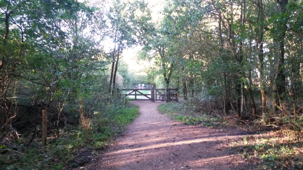 We gaan weer Hobbelen. Doe je mee? Wandelen of hardlopen. 16 november is de dag.