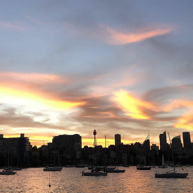 SocialMediaSi's tweet photo. Evening walk and I stubbled across this #sunset #sydneyskyline #stunning https://t.co/ny5VH0jabA https://t.co/JpnOU62TWq