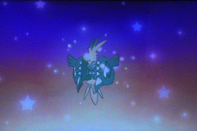 カプ コケコのtwitterイラスト検索結果