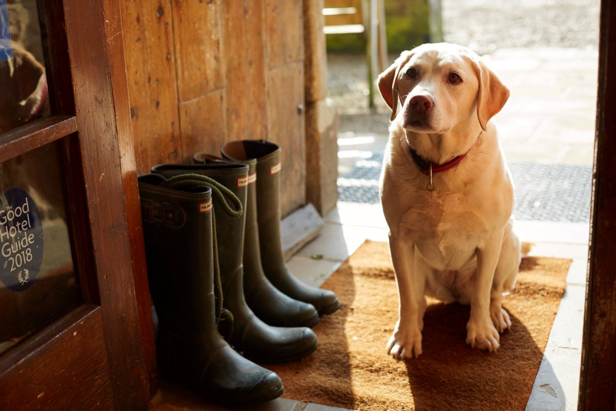 therandc's tweet photo. We are delighted to have been chosen as a finalist in the dog-friendly accommodation category of the #StaycationAwards @theipaper @JPIMediaEvents https://t.co/cNg398EHWT
