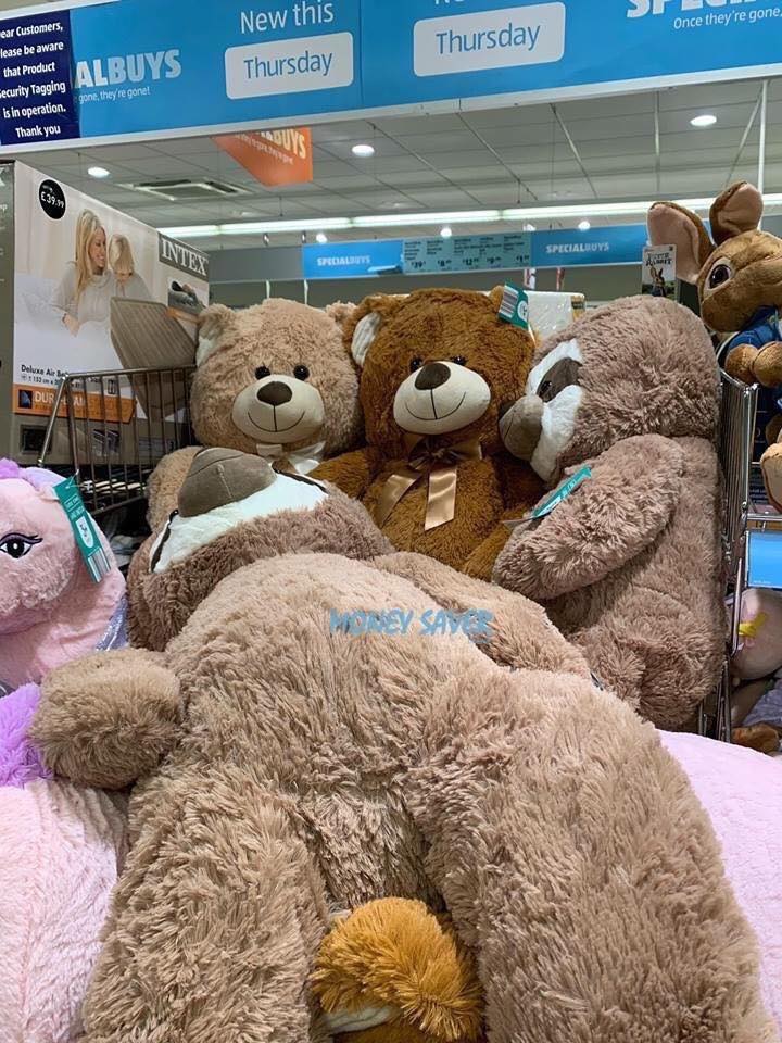 12.99 giant teddy bears and sloths are 