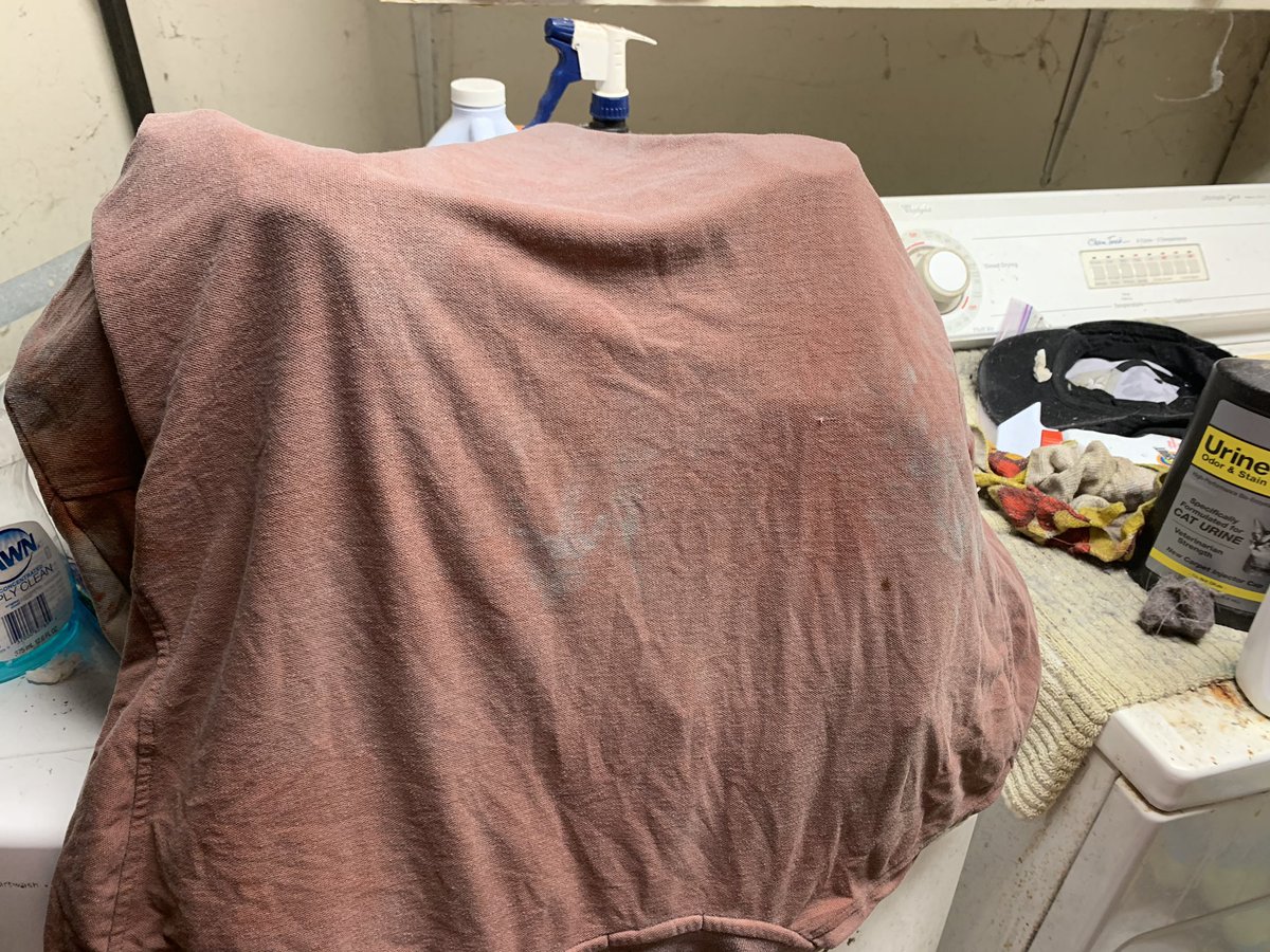taylights_lover's tweet photo. This is my shirt after sitting front row for Evil Dead: The Musical.
I was washing fake blood off of my crotch. It soaked through my pants and underwear. That’s how much there was. It was crazy.
#evildeadsd https://t.co/zzX0Ce9HP6