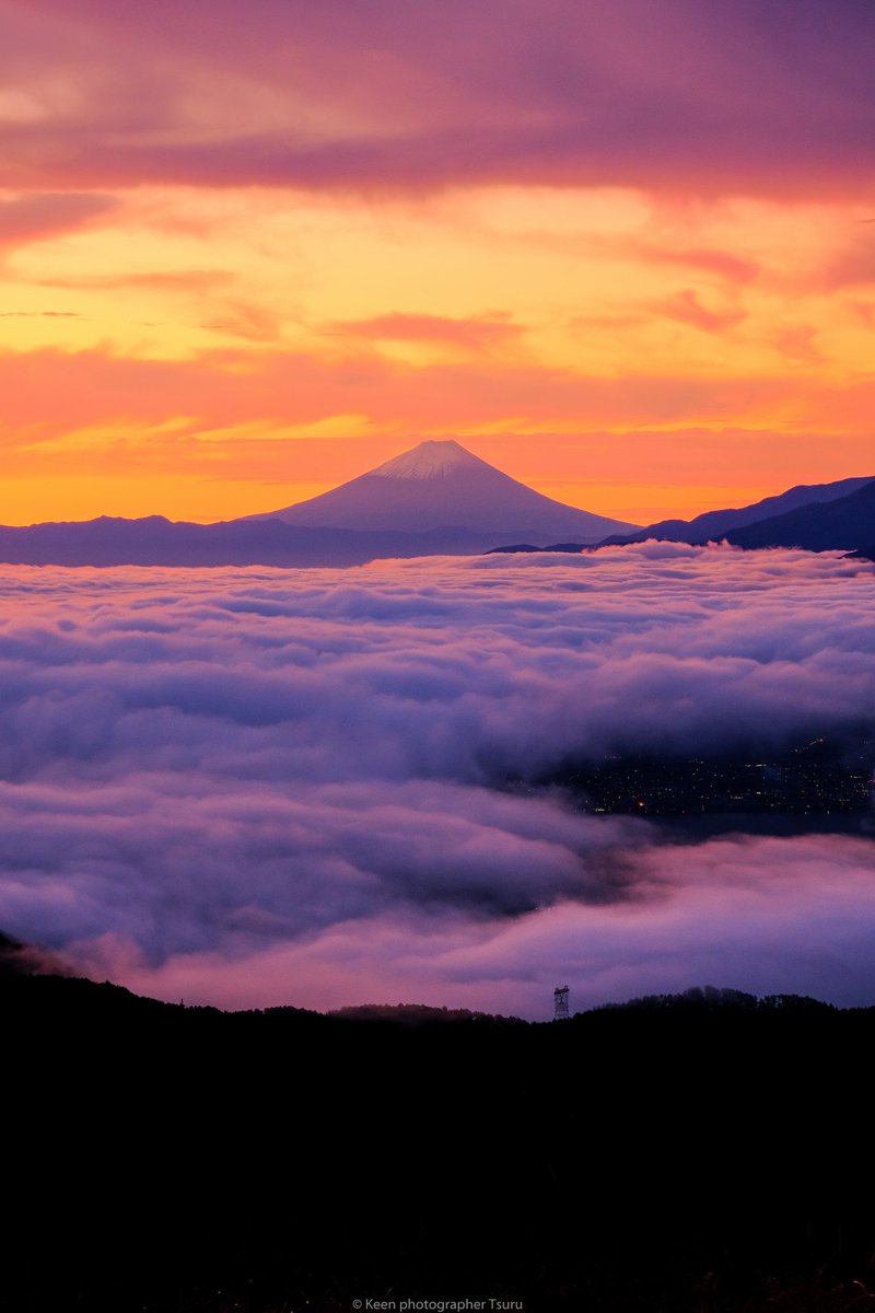 最高かつ最も包括的なスマホ 壁紙 景色 美しい花の画像