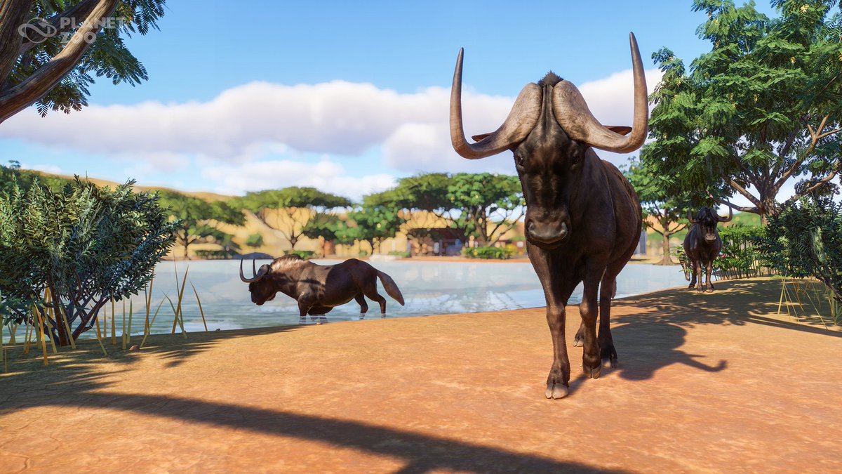 Zoo List Of Animals By Continent Android MOD Tutorial