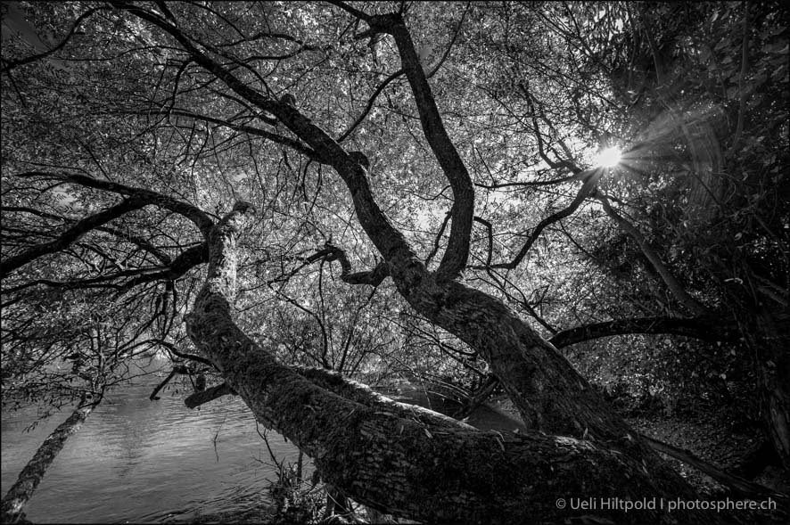 … just for fun … entlag der aare bei belp … 27. oktober 2019