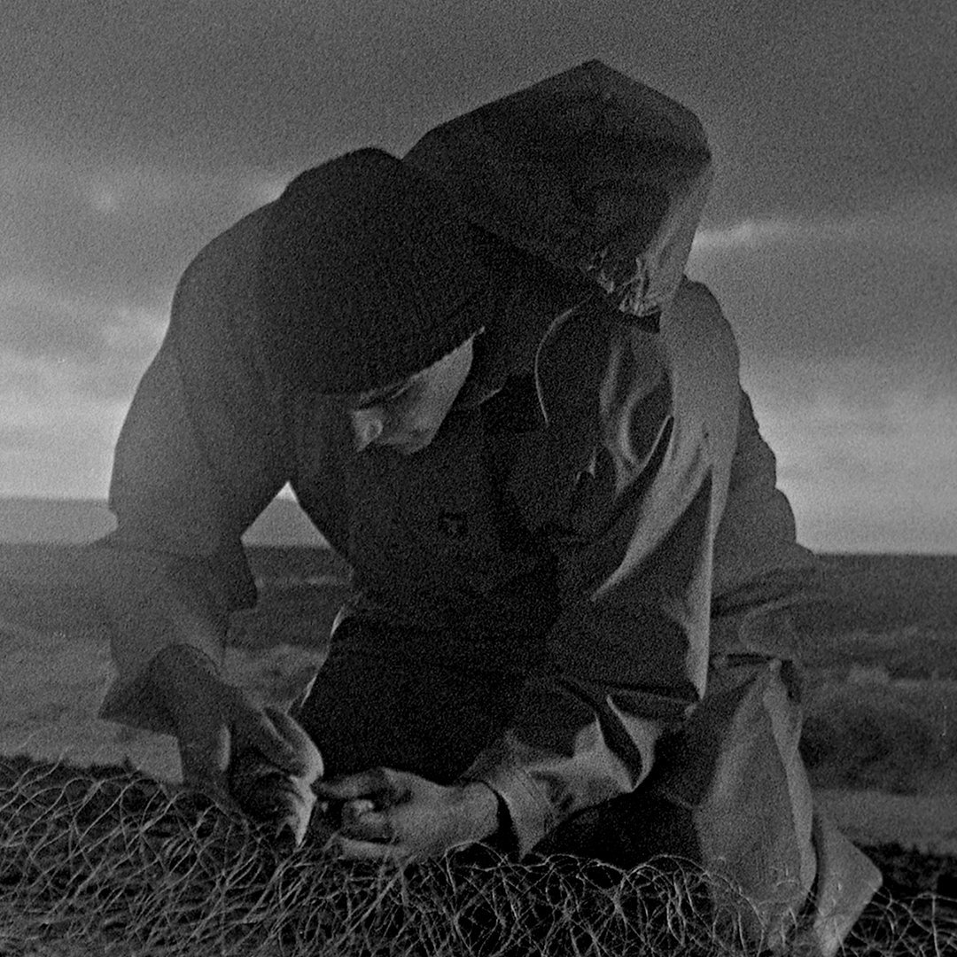 Edinburgh International Film Festival (@edfilmfest) on Twitter photo We're delighted to see @SashaCollington's Love Type D, @Mark_Jenkin's Bait and Matt Roberts' Masters of Love on the <a href="/BIFA_film/">BIFA</a> <a href="/Raindance/">Raindance Film Festival</a> Discovery Award long list. All of which screened at <a href="/edfilmfest/">Edinburgh International Film Festival</a> 2019. Congratulations! 1/2 We're delighted to see @SashaCollington's Love Type D, @Mark_Jenkin's Bait and Matt Roberts' Masters of Love on the <a href="/BIFA_film/">BIFA</a> <a href="/Raindance/">Raindance Film Festival</a> Discovery Award long list. All of which screened at <a href="/edfilmfest/">Edinburgh International Film Festival</a> 2019. Congratulations! 1/2